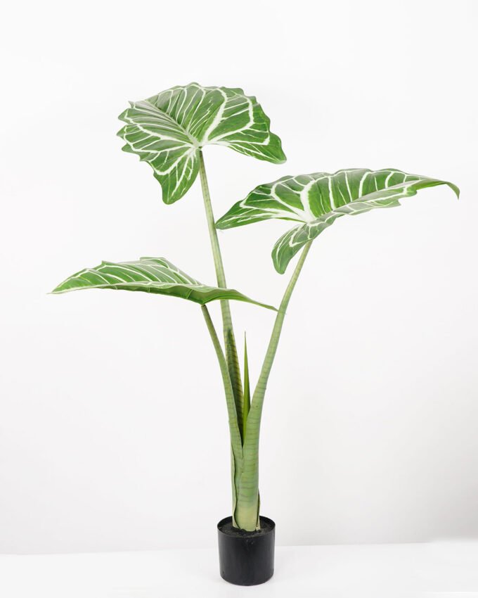 Artificial Tree Anthurium regale tree in pp pot GS-48522058 Artificial Tree 125*100*120CM Anthurium regale tree in pp pot GS-48522058 Tree&Plant YeahFlower is one of Chinese leading OEM manufacturers and exporters , supplying the silk flowers, wholesale artificial trees