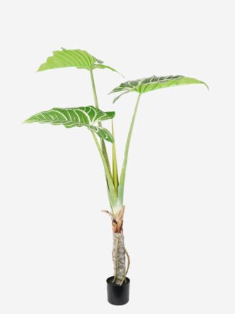 Artificial Tree 125*125*180CM Anthurium regale tree in pp pot GS-48522060 Tree&Plant 3,000+ sqm showroom with thousands of artificial flowers, plants & trees ready for global sourcing.
