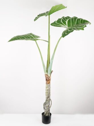 Artificial Tree 35*35*55CM Philodendron erubescens in pp pot GS-48522061 Tree&Plant 3,000+ sqm showroom with thousands of artificial flowers, plants & trees ready for global sourcing.