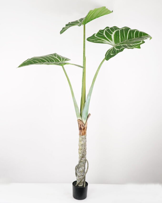 Artificial Tree 125*125*180CM Anthurium regale tree in pp pot GS-48522060 Tree&Plant YeahFlower is one of Chinese leading OEM manufacturers and exporters , supplying the silk flowers, wholesale artificial trees
