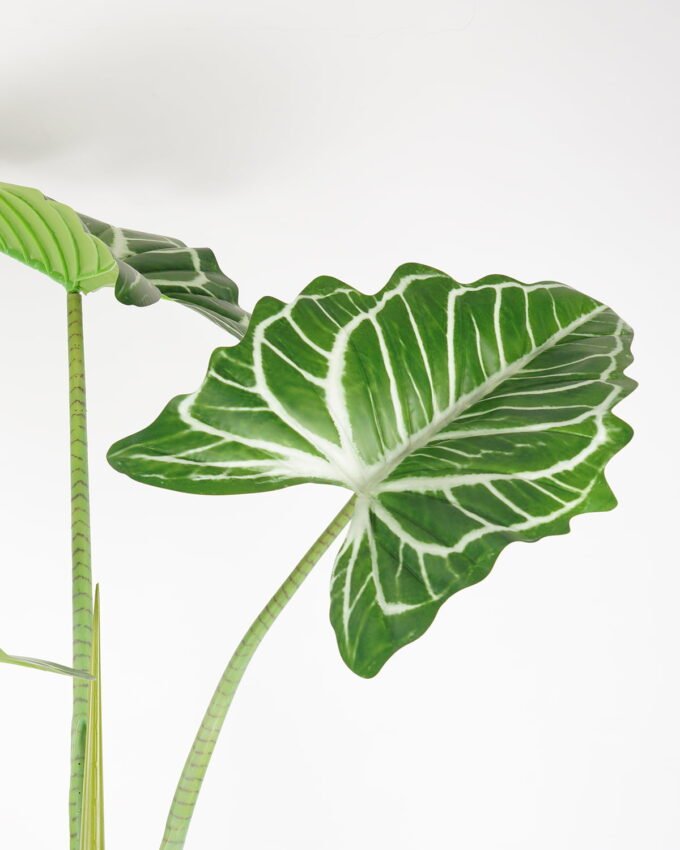 Artificial Tree 125*125*180CM Anthurium regale tree in pp pot GS-48522060 Tree&Plant YeahFlower is one of Chinese leading OEM manufacturers and exporters , supplying the silk flowers, wholesale artificial trees