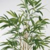 Artificial Tree 80*80*180cm Bamboo *7 in PP pot GS-30422004 Tree&Plant YeahFlower is one of Chinese leading OEM manufacturers and exporters , supplying the silk flowers, wholesale artificial trees