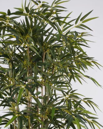 Artificial Tree 80*80*178cm Bamboo in PP pot GS-30622016 Tree&Plant YeahFlower is one of Chinese leading OEM manufacturers and exporters , supplying the silk flowers, wholesale artificial trees