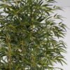 Artificial Tree 85*85*207cm Bamboo in PP pot GS-30622017 Tree&Plant YeahFlower is one of Chinese leading OEM manufacturers and exporters , supplying the silk flowers, wholesale artificial trees