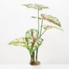 Artificial Tree 50*50*70CM Caladium bicolor in pp pot GS-48522040 Tree&Plant YeahFlower is one of Chinese leading OEM manufacturers and exporters , supplying the silk flowers, wholesale artificial trees