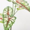 Artificial Tree 50*50*70CM Caladium bicolor in pp pot GS-48522040 Tree&Plant YeahFlower is one of Chinese leading OEM manufacturers and exporters , supplying the silk flowers, wholesale artificial trees