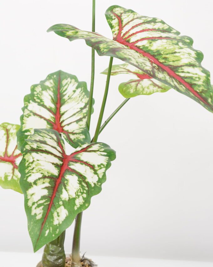 Artificial Tree 50*50*70CM Caladium bicolor in pp pot GS-48522040 Tree&Plant YeahFlower is one of Chinese leading OEM manufacturers and exporters , supplying the silk flowers, wholesale artificial trees