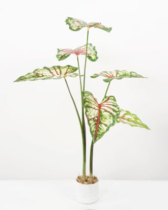 Artificial Tree 70*70*100CM Caladium bicolor in pp pot GS-48522041 Tree&Plant YeahFlower is one of Chinese leading OEM manufacturers and exporters , supplying the silk flowers, wholesale artificial trees