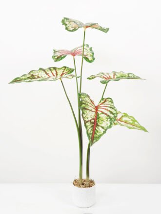 Artificial Tree 70*70*95CM Caladium bicolor in pp pot GS-48522043 Tree&Plant 3,000+ sqm showroom with thousands of artificial flowers, plants & trees ready for global sourcing.