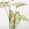 Artificial Tree 70*70*100CM Caladium bicolor in pp pot GS-48522041 Tree&Plant YeahFlower is one of Chinese leading OEM manufacturers and exporters , supplying the silk flowers, wholesale artificial trees