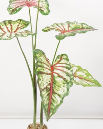 Artificial Tree 70*70*100CM Caladium bicolor in pp pot GS-48522041 Tree&Plant YeahFlower is one of Chinese leading OEM manufacturers and exporters , supplying the silk flowers, wholesale artificial trees