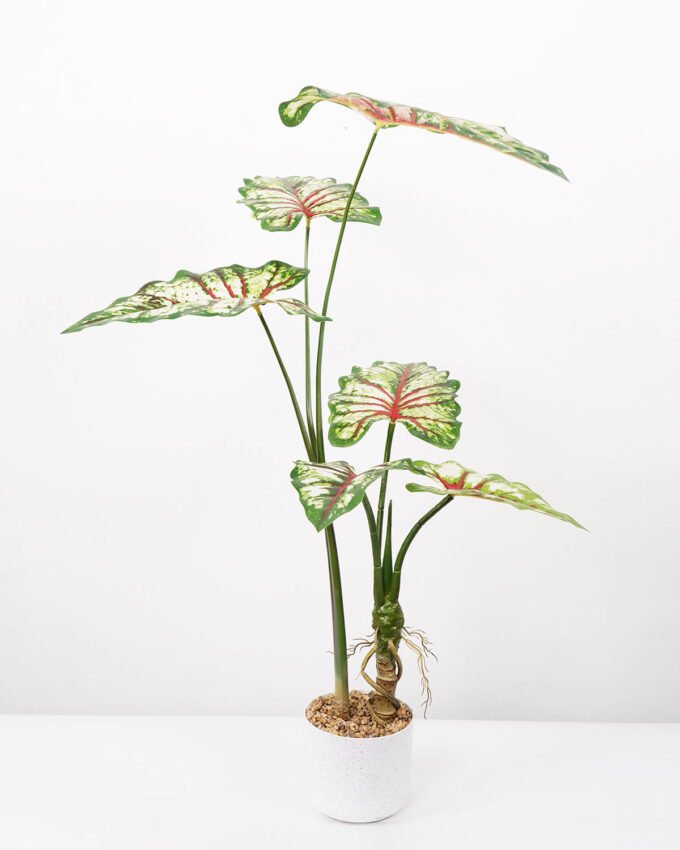 Artificial Tree 65*65*100CM Caladium bicolor in pp pot GS-48522042 Tree&Plant YeahFlower is one of Chinese leading OEM manufacturers and exporters , supplying the silk flowers, wholesale artificial trees