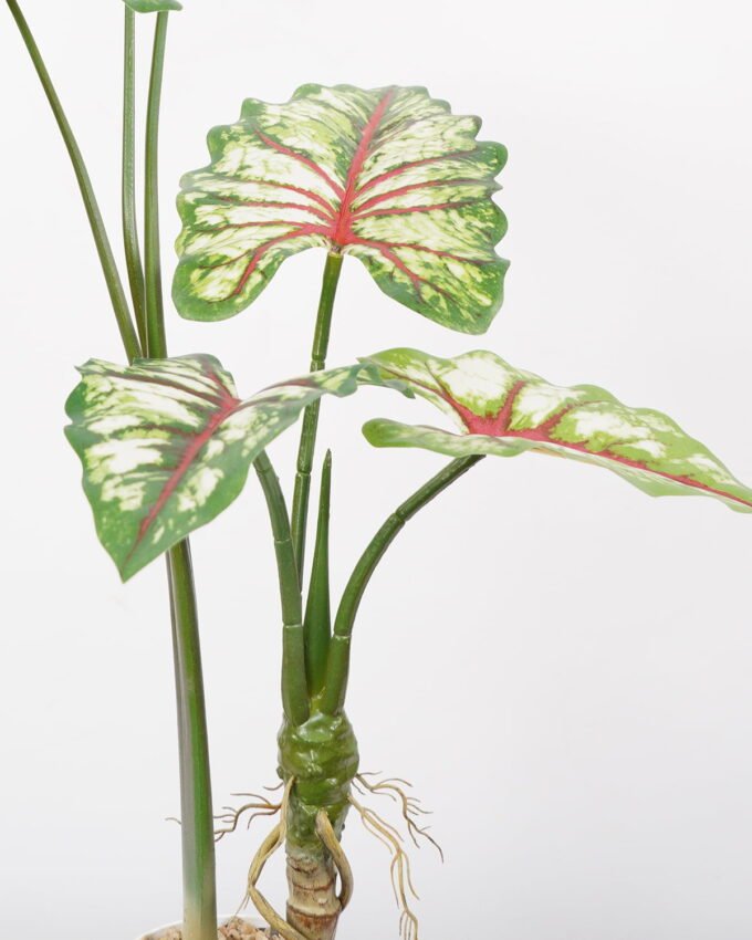 Artificial Tree 65*65*100CM Caladium bicolor in pp pot GS-48522042 Tree&Plant YeahFlower is one of Chinese leading OEM manufacturers and exporters , supplying the silk flowers, wholesale artificial trees