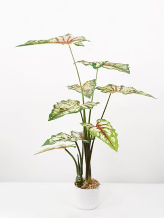 Artificial Tree 55*55*70CM Alocasia Sarian in pp pot GS-48522044 Tree&Plant 3,000+ sqm showroom with thousands of artificial flowers, plants & trees ready for global sourcing.