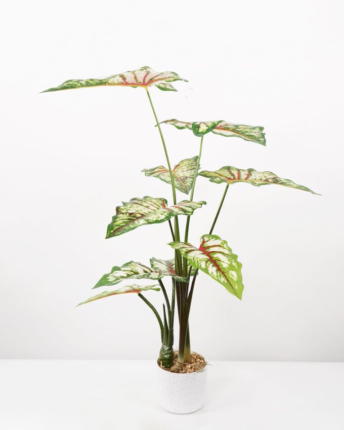 Artificial Tree 70*70*95CM Caladium bicolor in pp pot GS-48522043 Tree&Plant YeahFlower is one of Chinese leading OEM manufacturers and exporters , supplying the silk flowers, wholesale artificial trees