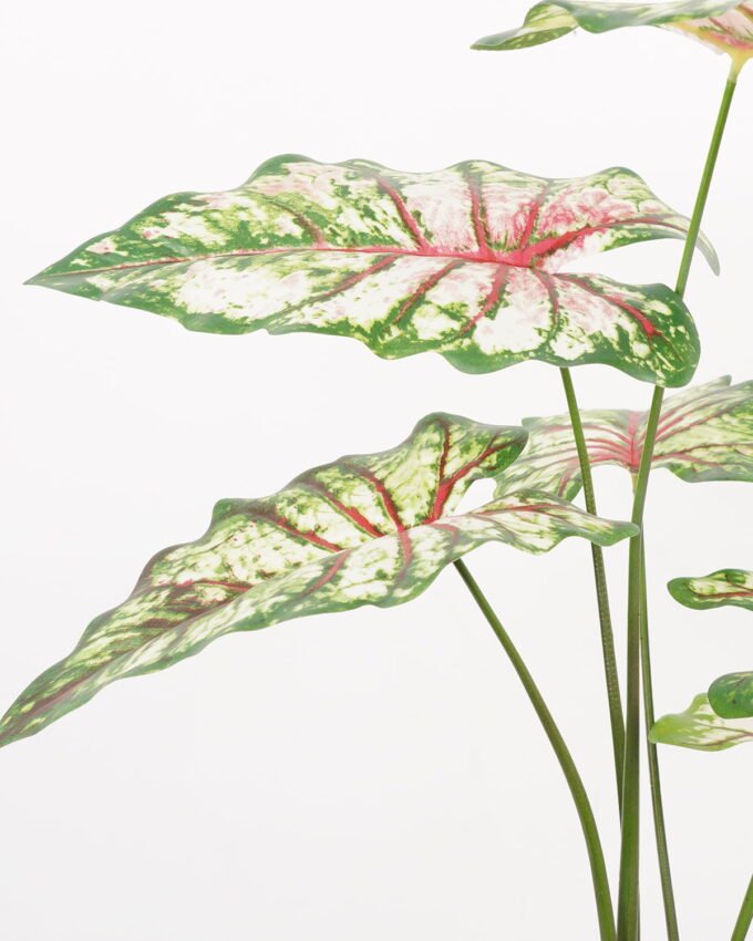 Artificial Tree 70*70*95CM Caladium bicolor in pp pot GS-48522043 Tree&Plant YeahFlower is one of Chinese leading OEM manufacturers and exporters , supplying the silk flowers, wholesale artificial trees