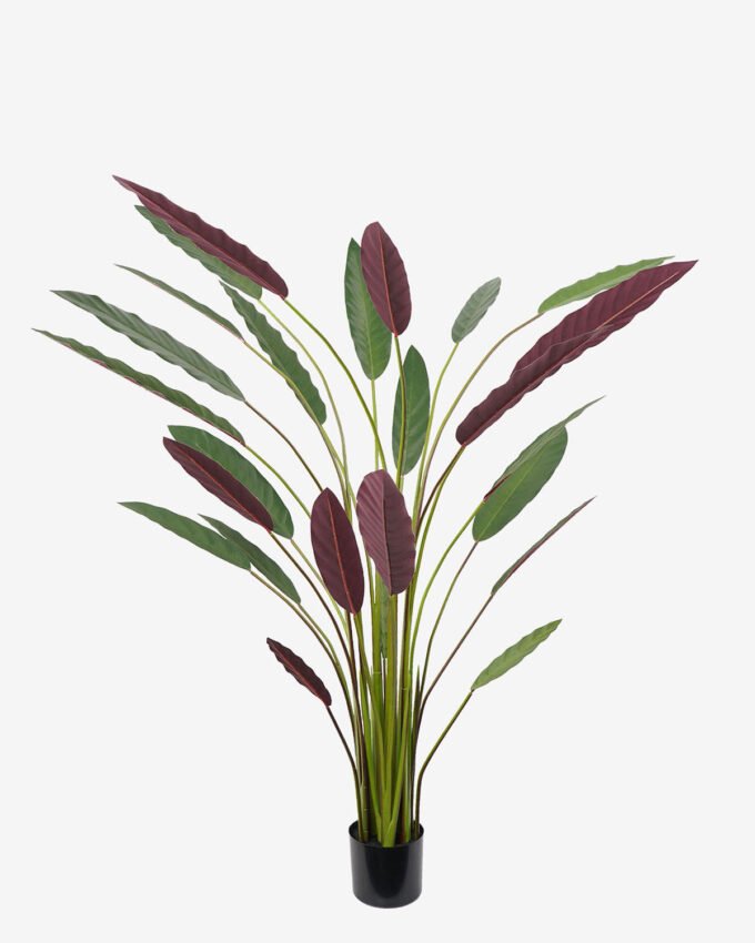 Artificial Tree 60*60*160CM Calathea makoyana tree in pp pot GS-48522018 Tree&Plant YeahFlower is one of Chinese leading OEM manufacturers and exporters , supplying the silk flowers, wholesale artificial trees