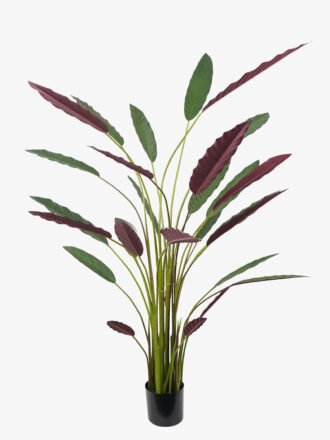 Artificial Tree 80*70*210CM Calathea makoyana tree in pp pot GS-48522020 Tree&Plant 3,000+ sqm showroom with thousands of artificial flowers, plants & trees ready for global sourcing.