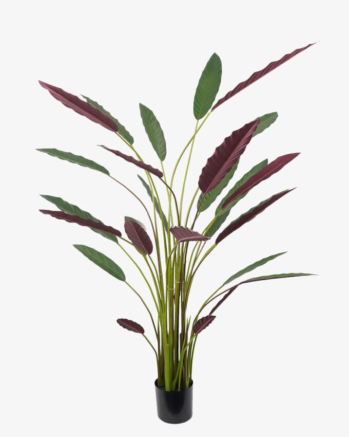 Artificial Tree 70*70*180CM Calathea makoyana tree in pp pot GS-48522019 Tree&Plant YeahFlower is one of Chinese leading OEM manufacturers and exporters , supplying the silk flowers, wholesale artificial trees