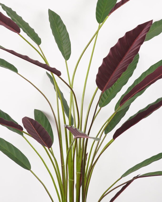 Artificial Tree 70*70*180CM Calathea makoyana tree in pp pot GS-48522019 Tree&Plant YeahFlower is one of Chinese leading OEM manufacturers and exporters , supplying the silk flowers, wholesale artificial trees