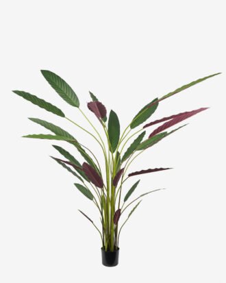 Artificial Tree 80*70*210CM Calathea makoyana tree in pp pot GS-48522020 Tree&Plant YeahFlower is one of Chinese leading OEM manufacturers and exporters , supplying the silk flowers, wholesale artificial trees