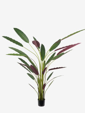 Artificial Tree 75*75*120CM Cycas debaoensis in pp pot GS-48522052 Tree&Plant 3,000+ sqm showroom with thousands of artificial flowers, plants & trees ready for global sourcing.