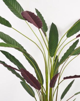 Artificial Tree 80*70*210CM Calathea makoyana tree in pp pot GS-48522020 Tree&Plant YeahFlower is one of Chinese leading OEM manufacturers and exporters , supplying the silk flowers, wholesale artificial trees