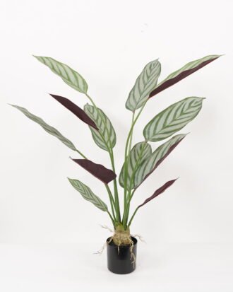 Artificial Tree 50*50*90CM Ctenanthe setosa tree in pp pot GS-48522021 Tree&Plant YeahFlower is one of Chinese leading OEM manufacturers and exporters , supplying the silk flowers, wholesale artificial trees