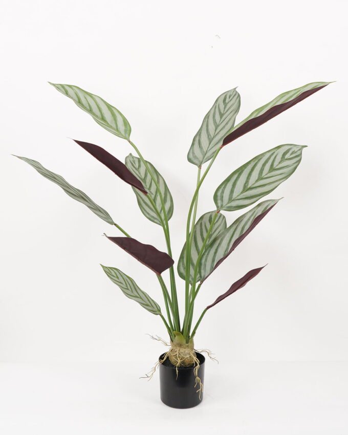 Artificial Tree 50*50*90CM Ctenanthe setosa tree in pp pot GS-48522021 Tree&Plant YeahFlower is one of Chinese leading OEM manufacturers and exporters , supplying the silk flowers, wholesale artificial trees