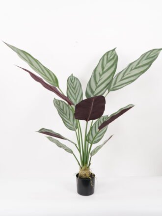 Artificial Tree 50*50*90CM Ctenanthe setosa tree in pp pot GS-48522021 Tree&Plant 3,000+ sqm showroom with thousands of artificial flowers, plants & trees ready for global sourcing.
