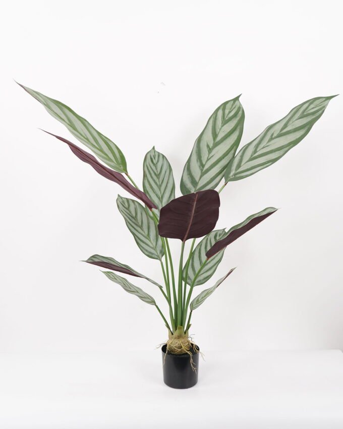 Artificial Tree 50*40*110CM Ctenanthe setosa tree in pp pot GS-48522022 Tree&Plant YeahFlower is one of Chinese leading OEM manufacturers and exporters , supplying the silk flowers, wholesale artificial trees