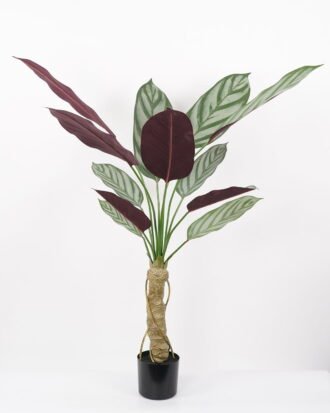 Artificial Tree 65*65*130CM Ctenanthe setosa tree in pp pot GS-48522023 Tree&Plant YeahFlower is one of Chinese leading OEM manufacturers and exporters , supplying the silk flowers, wholesale artificial trees