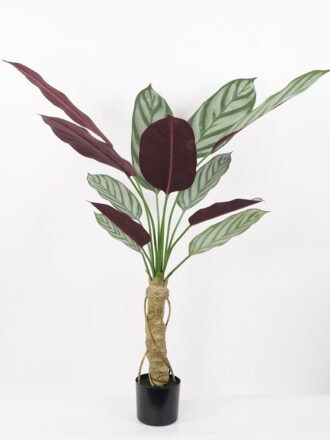 Artificial Tree 85*85*190CM Polyscias tree in pp pot GS-48522029 Tree&Plant 3,000+ sqm showroom with thousands of artificial flowers, plants & trees ready for global sourcing.