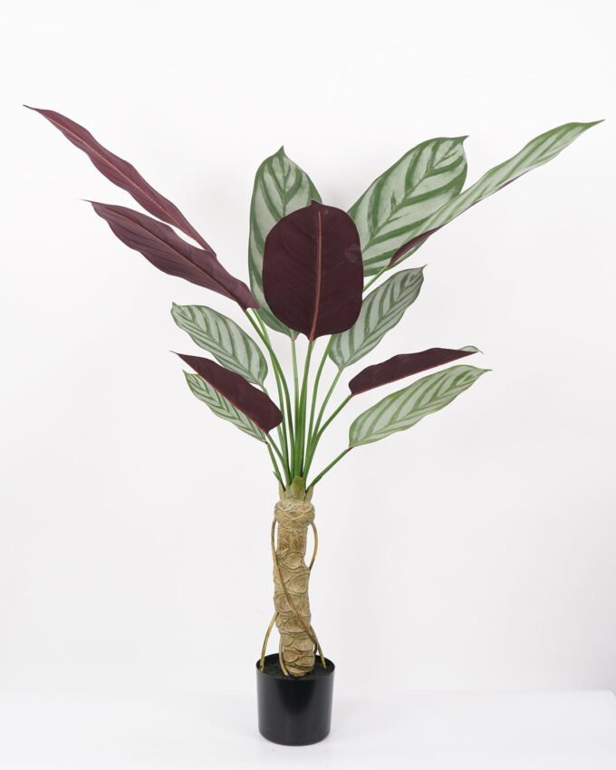 Artificial Tree Ctenanthe setosa tree in pp pot GS-48522023 Artificial Tree 65*65*130CM Ctenanthe setosa tree in pp pot GS-48522023 Tree&Plant YeahFlower is one of Chinese leading OEM manufacturers and exporters , supplying the silk flowers, wholesale artificial trees