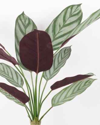 Artificial Tree 65*65*130CM Ctenanthe setosa tree in pp pot GS-48522023 Tree&Plant YeahFlower is one of Chinese leading OEM manufacturers and exporters , supplying the silk flowers, wholesale artificial trees