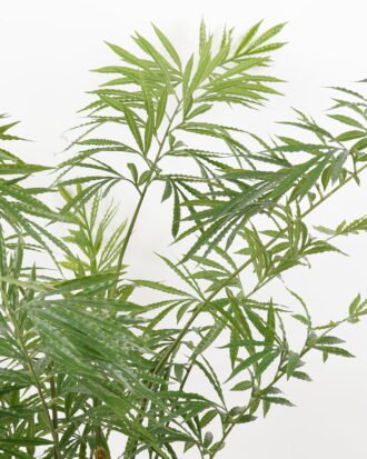 Artificial Tree 90*90*140CM Cycas debaoensis in pp pot GS-48522053 Tree&Plant YeahFlower is one of Chinese leading OEM manufacturers and exporters , supplying the silk flowers, wholesale artificial trees