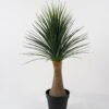 Artificial Tree Dracaena marginata tree in pp pot 176LVS GS-59522010_6 Artificial Tree 67*67*105cm Dracaena marginata tree in pp pot/176LVS GS-59522010 Tree&Plant YeahFlower is one of Chinese leading OEM manufacturers and exporters , supplying the silk flowers, wholesale artificial trees