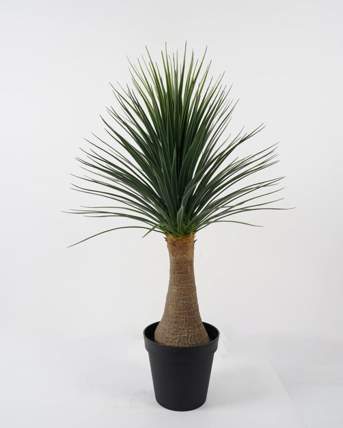 Artificial Tree Dracaena marginata tree in pp pot 176LVS GS-59522010_6 Artificial Tree 67*67*105cm Dracaena marginata tree in pp pot/176LVS GS-59522010 Tree&Plant YeahFlower is one of Chinese leading OEM manufacturers and exporters , supplying the silk flowers, wholesale artificial trees