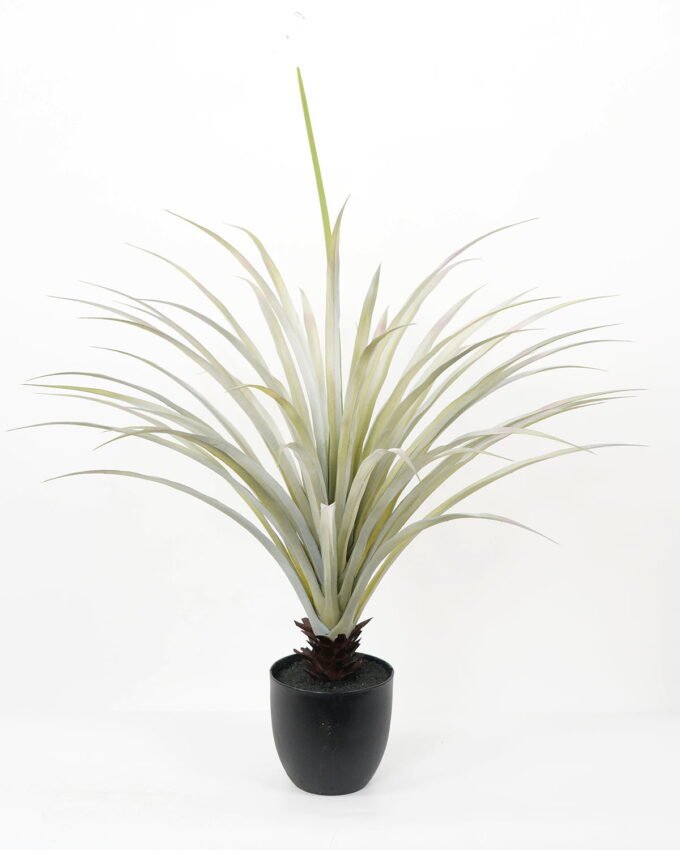 Artificial Tree 75*75*90CM Dracaena marginata tree in pp pot GS-48522006 Tree&Plant YeahFlower is one of Chinese leading OEM manufacturers and exporters , supplying the silk flowers, wholesale artificial trees
