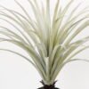 Artificial Tree 75*75*90CM Dracaena marginata tree in pp pot GS-48522006 Tree&Plant YeahFlower is one of Chinese leading OEM manufacturers and exporters , supplying the silk flowers, wholesale artificial trees