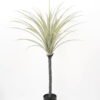 Artificial Tree Dracaena marginata tree in pp pot GS-48522007_5 Artificial Tree 75*75*130CM Dracaena marginata tree in pp pot GS-48522007 Tree&Plant YeahFlower is one of Chinese leading OEM manufacturers and exporters , supplying the silk flowers, wholesale artificial trees