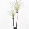 Artificial Tree 90*75*150CM Dracaena marginata tree in pp pot GS-48522008 Tree&Plant YeahFlower is one of Chinese leading OEM manufacturers and exporters , supplying the silk flowers, wholesale artificial trees