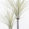 Artificial Tree 90*75*150CM Dracaena marginata tree in pp pot GS-48522008 Tree&Plant YeahFlower is one of Chinese leading OEM manufacturers and exporters , supplying the silk flowers, wholesale artificial trees