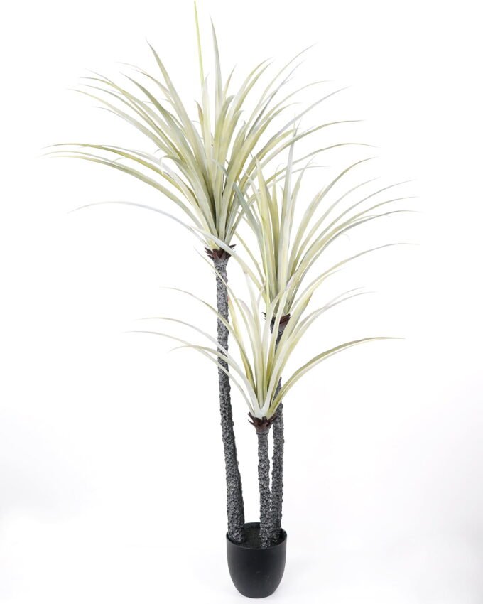 Artificial Tree 100*80*165CM Dracaena marginata tree in pp pot GS-48522009 Tree&Plant YeahFlower is one of Chinese leading OEM manufacturers and exporters , supplying the silk flowers, wholesale artificial trees