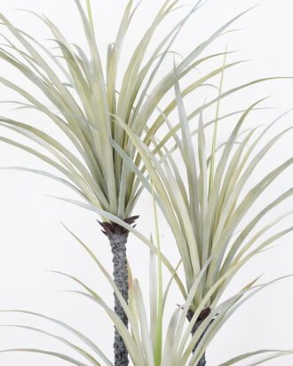 Artificial Tree 100*80*165CM Dracaena marginata tree in pp pot GS-48522009 Tree&Plant YeahFlower is one of Chinese leading OEM manufacturers and exporters , supplying the silk flowers, wholesale artificial trees