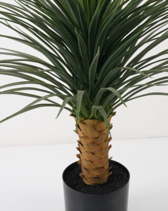 Artificial Tree 64*64*85cm Dracaena marginata tree in pp pot GS-59522011 Tree&Plant YeahFlower is one of Chinese leading OEM manufacturers and exporters , supplying the silk flowers, wholesale artificial trees