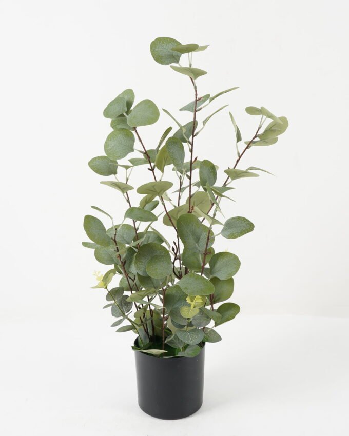 Artificial Tree 35*35*60cm Eucalyptus leaves in PP pot GS-43422031 Tree&Plant YeahFlower is one of Chinese leading OEM manufacturers and exporters , supplying the silk flowers, wholesale artificial trees