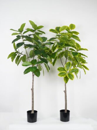 Artificial Tree 70*70*115cm Aloe *2 in cement pot GS-19222032 Tree&Plant YeahFlower is one of Chinese leading OEM manufacturers and exporters , supplying the silk flowers, wholesale artificial trees