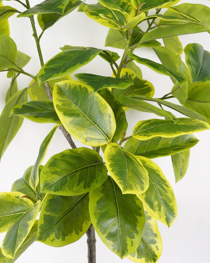 Artificial Tree Ficus tree in PP pot GS-64822001_2 Artificial Tree 90*90*180cm Ficus tree in PP pot GS-64822001 Tree&Plant YeahFlower is one of Chinese leading OEM manufacturers and exporters , supplying the silk flowers, wholesale artificial trees