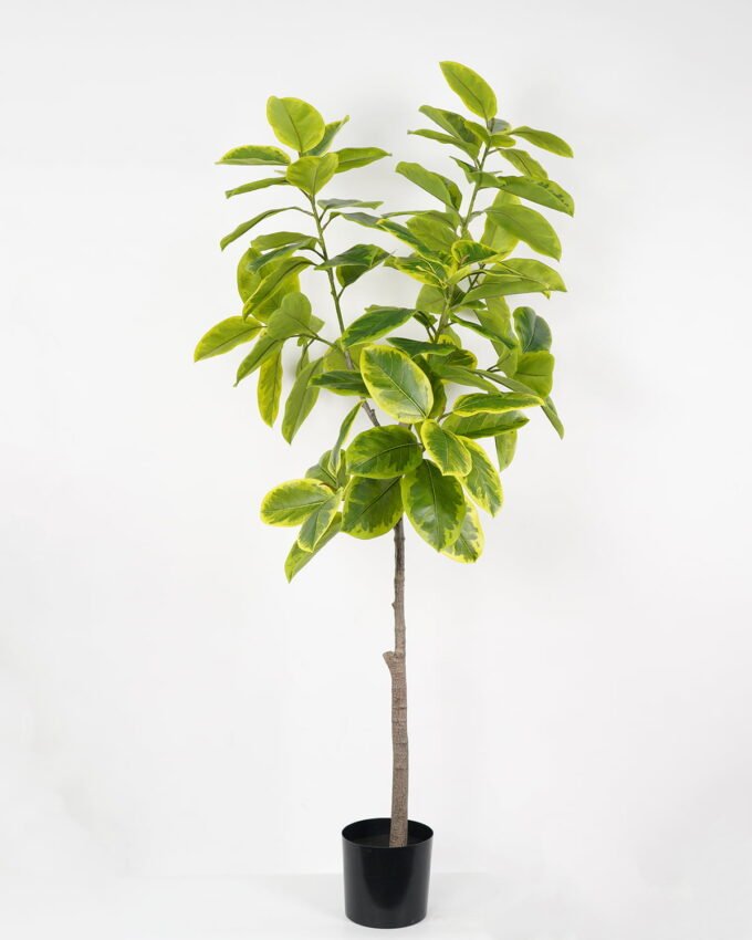 Artificial Tree Ficus tree in PP pot GS-64822001_3 Artificial Tree 90*90*180cm Ficus tree in PP pot GS-64822001 Tree&Plant YeahFlower is one of Chinese leading OEM manufacturers and exporters , supplying the silk flowers, wholesale artificial trees